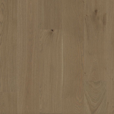European Oak - Golden Wheat