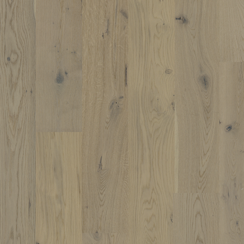 European Oak - Sandy Dream