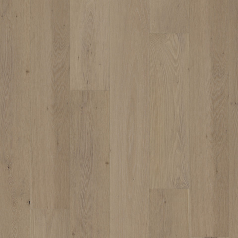 European Oak - Snow Willow