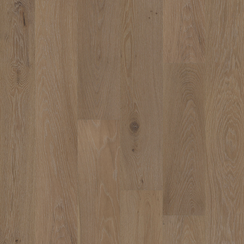 European Oak - Tortuga