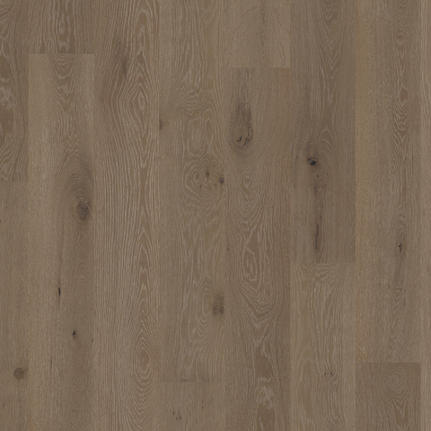 European Oak - Velvet Breeze